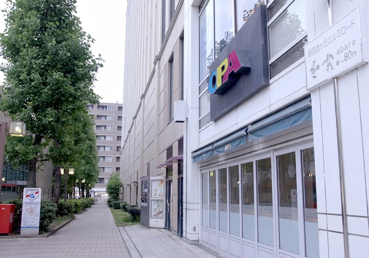 新百合ヶ丘駅の南口左手の遊歩道を進みます。